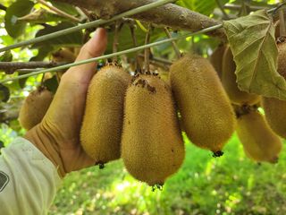 노고단님의 자유주제 · 자유게시판 작성글 사진