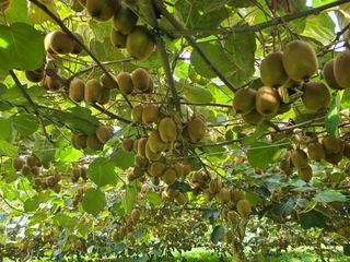 노고단님의 자유주제 · 자유게시판 작성글 사진