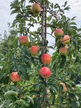 팜모닝 팜모닝·출석 게시글 이미지