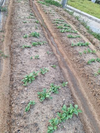 길가다우연히님의 자유주제 · 자유게시판 작성글 사진