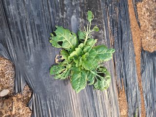 길가다우연히님의 자유주제 · 자유게시판 작성글 사진