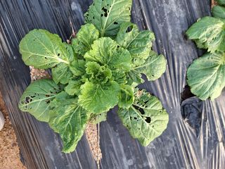 길가다우연히님의 자유주제 · 자유게시판 작성글 사진