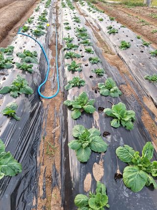 길가다우연히님의 자유주제 · 자유게시판 작성글 사진