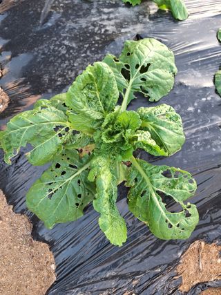 길가다우연히님의 자유주제 · 자유게시판 작성글 사진