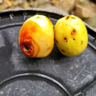 이창화님의 자유주제 · 자유게시판 작성글 사진