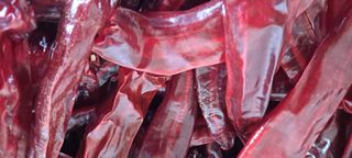 꽃분이님의 작성글 사진