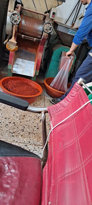 꽃분이님의 작성글 사진