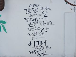 금동이네님의 자유주제 · 자유게시판 작성글 사진