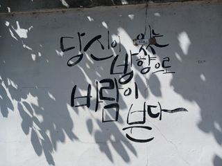 금동이네님의 자유주제 · 자유게시판 작성글 사진