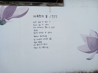 금동이네님의 자유주제 · 자유게시판 작성글 사진