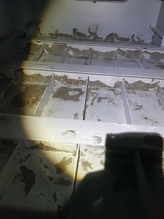 허굴산농장님의 자유주제 · 자유게시판 작성글 사진