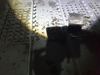 허굴산농장님의 자유주제 · 자유게시판 작성글 사진