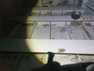 허굴산농장님의 자유주제 · 자유게시판 작성글 사진