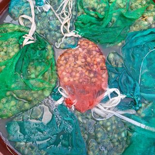 삼성농산님의 자유주제 · 자유게시판 작성글 사진