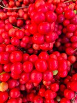 팜모닝 기타작물·영농일지 게시글 이미지