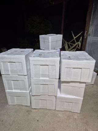 김기자(흰구름농원)님의 기타작물 · 영농일지 작성글 사진