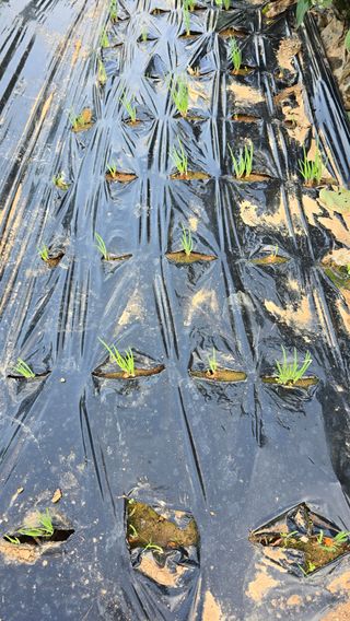 황규복(달구지)님의 자유주제 · 자유게시판 작성글 사진