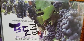 이용석님의 작성글 사진