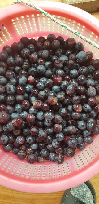 이용석님의 작성글 사진