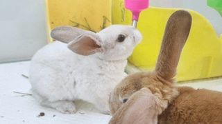 최한기님의 농사, 무엇이든 물어보세요! · 참여글 작성글 사진