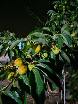 팜모닝 자유주제·자유게시판 게시글 이미지