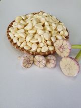 팜모닝 · 게시글 이미지