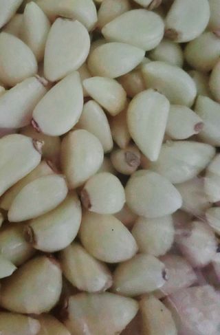 해풍님의 작성글 사진