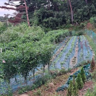 훈&팜님의 더운 가을, 농사 괜찮으신가요? · 참여글 작성글 사진