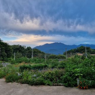 훈&팜님의 더운 가을, 농사 괜찮으신가요? · 참여글 작성글 사진