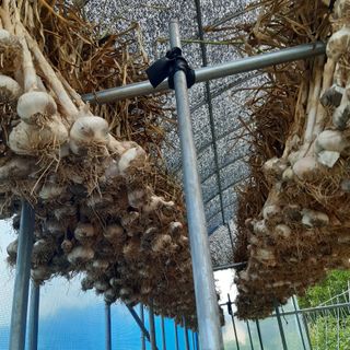 오색땅콩님의 작성글 사진