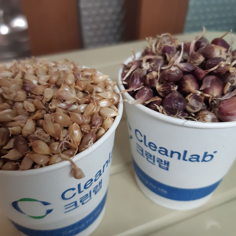 장터 상품 [홍산마늘주아 100g] 썸네일