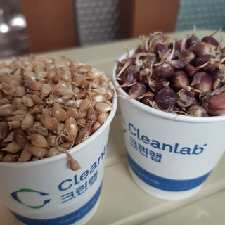 오색땅콩님의 작성글 사진