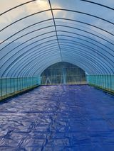 팜모닝 자유주제·자유게시판 게시글 이미지