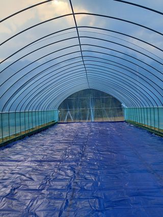 금여사님의 자유주제 · 자유게시판 작성글 사진