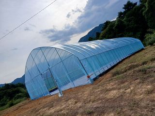 금여사님의 자유주제 · 자유게시판 작성글 사진