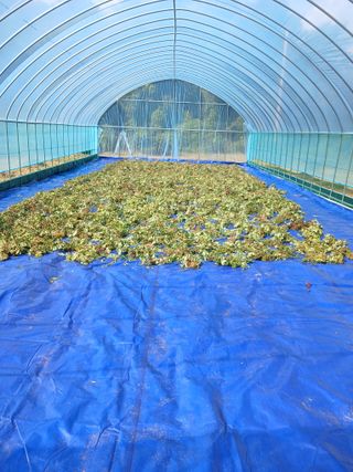 금여사님의 자유주제 · 자유게시판 작성글 사진