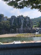 팜모닝 자유주제·자유게시판 게시글 이미지