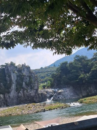 규수김님의 자유주제 · 자유게시판 작성글 사진