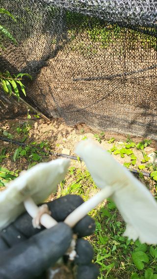 방촌대장님의 자유주제 · 자유게시판 작성글 사진