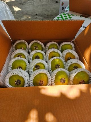 알 수 없음님의 자유주제 · 자유게시판 작성글 사진