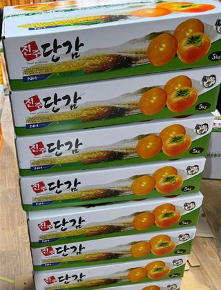 알 수 없음님의 자유주제 · 자유게시판 작성글 사진