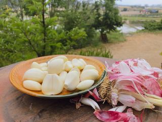 조새힘님의 작성글 사진