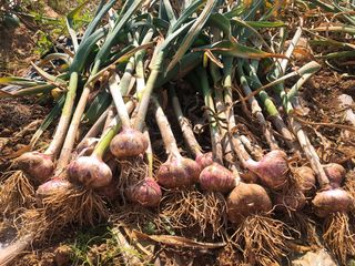 조새힘님의 작성글 사진