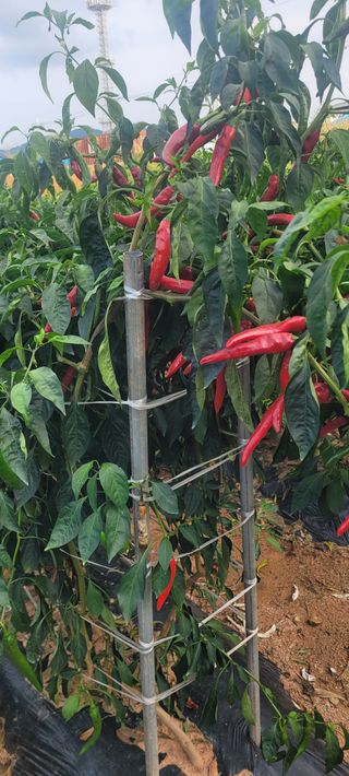 이균영님의 자유주제 · 사진전 작성글 사진