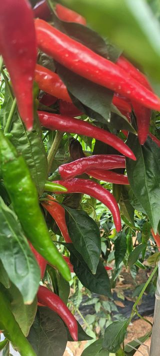 이균영님의 자유주제 · 사진전 작성글 사진