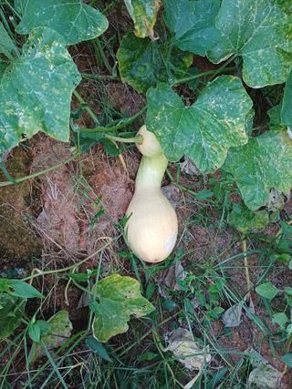 전영일님의 자유주제 · 자유게시판 작성글 사진