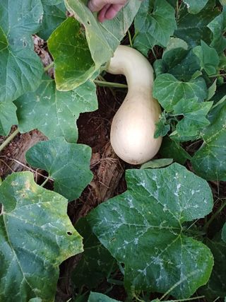 전영일님의 자유주제 · 자유게시판 작성글 사진