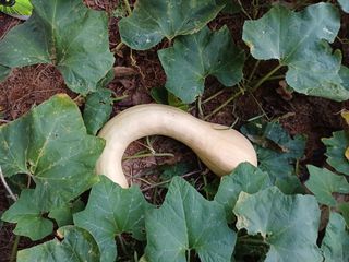 전영일님의 자유주제 · 자유게시판 작성글 사진