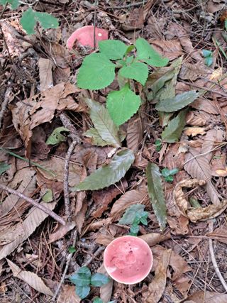 남촌302님의 버섯 · 영농일지 작성글 사진