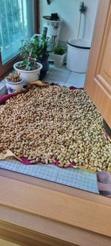 팜모닝 기타작물·영농일지 게시글 이미지